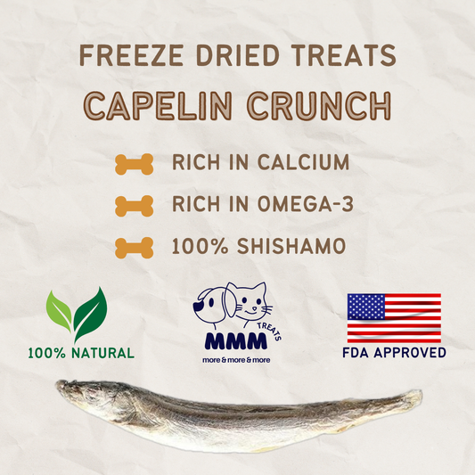 Premium Freeze Dried Shishamo/Capelin For Cats and Dogs By MMM Pet Treats