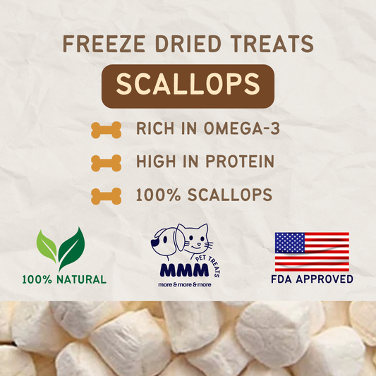 Premium Freeze Dried Scallops For Cats and Dogs By MMM Pet Treats