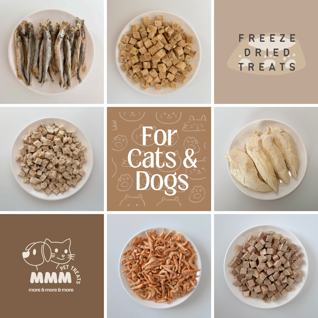 Premium Freeze Dried Chicken Strips (Whole Breast) For Cats and Dogs By MMM Pet Treats