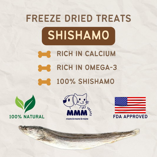 Premium Freeze Dried Shishamo/Capelin For Cats and Dogs By MMM Pet Treats